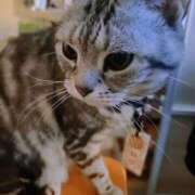 ヒメ日記 2025/06/04 08:45 投稿 あいか One More奥様　八王子店