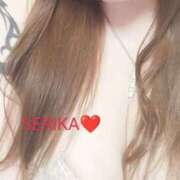 ヒメ日記 2026/01/24 15:50 投稿 吉岡せりか 月の真珠-五反田-