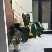 ヒメ日記 2025/09/17 15:31 投稿 つかさ チューリップ姫路店