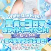 ヒメ日記 2025/03/11 20:14 投稿 ひじり みつらん鉄道