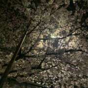 ヒメ日記 2025/04/10 00:24 投稿 ひじり みつらん鉄道