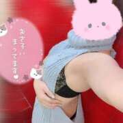 ヒメ日記 2025/07/10 20:24 投稿 ひじり みつらん鉄道