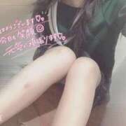 ヒメ日記 2025/11/06 07:14 投稿 ひじり みつらん鉄道