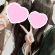 ヒメ日記 2025/11/30 17:14 投稿 ひじり みつらん鉄道