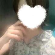 ヒメ日記 2025/10/24 02:40 投稿 ふぶき My Essentials