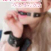 ヒメ日記 2024/12/20 15:28 投稿 うみ 長野権堂更埴ちゃんこ