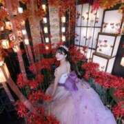 ヒメ日記 2025/03/02 08:50 投稿 れい 恵比寿ニューヨーク