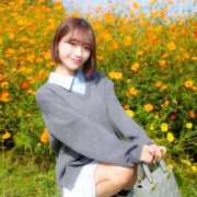 ヒメ日記 2025/11/21 17:22 投稿 れい 恵比寿ニューヨーク