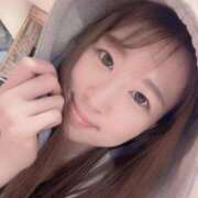 ヒメ日記 2025/01/29 09:50 投稿 とらこ チューリップ福井別館