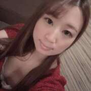 ヒメ日記 2025/04/23 19:14 投稿 とらこ チューリップ福井別館