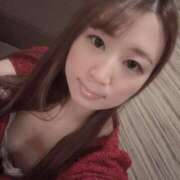 ヒメ日記 2025/04/24 19:05 投稿 とらこ チューリップ福井別館