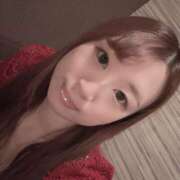 ヒメ日記 2025/04/25 08:04 投稿 とらこ チューリップ福井別館