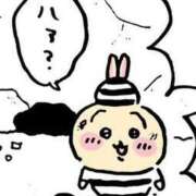 ヒメ日記 2025/05/25 20:35 投稿 とらこ チューリップ福井別館