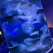 ヒメ日記 2025/10/10 00:03 投稿 加藤きき【痴女の宅急便】 秘書コレクション 高松店