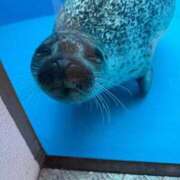 ヒメ日記 2025/12/08 11:14 投稿 加藤きき【痴女の宅急便】 秘書コレクション 高松店