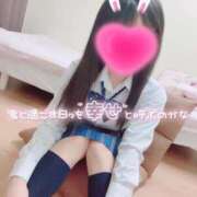 ヒメ日記 2025/04/12 17:51 投稿 ひまわり 静岡ハンパじゃない伝説