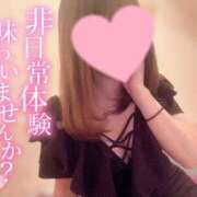 ヒメ日記 2025/04/20 23:13 投稿 ひまわり 静岡ハンパじゃない伝説