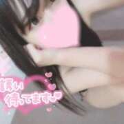 ヒメ日記 2025/04/22 01:21 投稿 ひまわり 静岡ハンパじゃない伝説