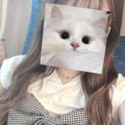 ヒメ日記 2025/07/10 09:51 投稿 ひまわり 静岡ハンパじゃない伝説