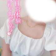 ひまわり あっつい 静岡ハンパじゃない伝説