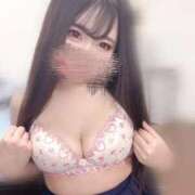 ヒメ日記 2026/03/31 13:12 投稿 ひまわり 静岡ハンパじゃない伝説