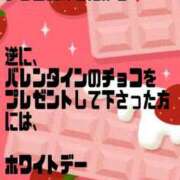 ヒメ日記 2024/02/03 08:00 投稿 ぱいん★（つくば） みるくまんもす下妻エリア