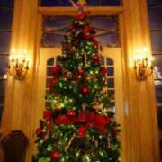 ヒメ日記 2024/12/14 07:45 投稿 並木まや 横浜プロダクション