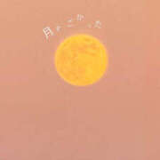 ヒメ日記 2024/12/17 17:25 投稿 並木まや 横浜プロダクション