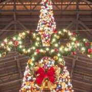 ヒメ日記 2024/12/20 17:57 投稿 並木まや 横浜プロダクション