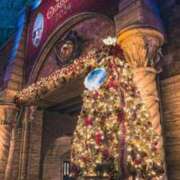 ヒメ日記 2024/12/22 07:49 投稿 並木まや 横浜プロダクション