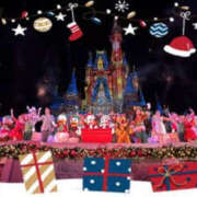 ヒメ日記 2024/12/24 11:30 投稿 並木まや 横浜プロダクション