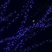 ヒメ日記 2025/01/06 10:27 投稿 並木まや 横浜プロダクション