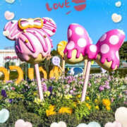 ヒメ日記 2025/01/12 07:44 投稿 並木まや 横浜プロダクション