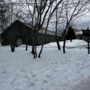 ヒメ日記 2025/01/28 17:53 投稿 並木まや 横浜プロダクション