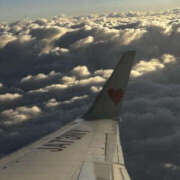 ヒメ日記 2025/02/05 07:38 投稿 並木まや 横浜プロダクション