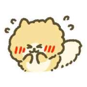 ヒメ日記 2025/02/11 20:41 投稿 並木まや 横浜プロダクション