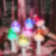 ヒメ日記 2025/02/24 10:45 投稿 並木まや 横浜プロダクション