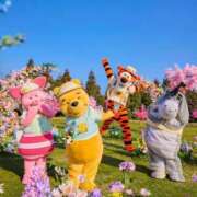 ヒメ日記 2025/02/26 06:53 投稿 並木まや 横浜プロダクション