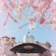 ヒメ日記 2025/03/11 07:48 投稿 並木まや 横浜プロダクション