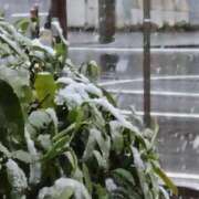 ヒメ日記 2025/03/19 07:47 投稿 並木まや 横浜プロダクション