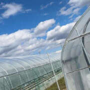 ヒメ日記 2025/03/20 23:33 投稿 並木まや 横浜プロダクション