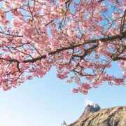 ヒメ日記 2025/03/29 08:58 投稿 並木まや 横浜プロダクション