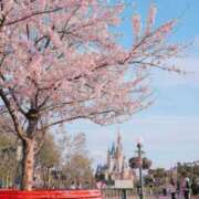 ヒメ日記 2025/03/30 07:49 投稿 並木まや 横浜プロダクション