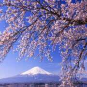 ヒメ日記 2025/04/05 14:43 投稿 並木まや 横浜プロダクション