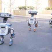 ヒメ日記 2025/04/08 07:38 投稿 並木まや 横浜プロダクション