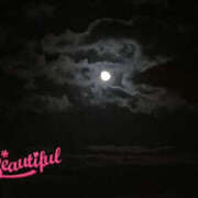 ヒメ日記 2025/04/17 07:21 投稿 並木まや 横浜プロダクション