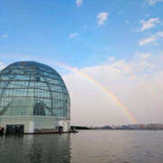 ヒメ日記 2025/04/26 23:36 投稿 並木まや 横浜プロダクション