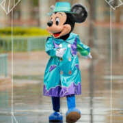 ヒメ日記 2025/05/31 07:44 投稿 並木まや 横浜プロダクション