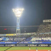 ヒメ日記 2025/06/25 08:12 投稿 並木まや 横浜プロダクション