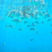 ヒメ日記 2025/06/27 09:26 投稿 並木まや 横浜プロダクション